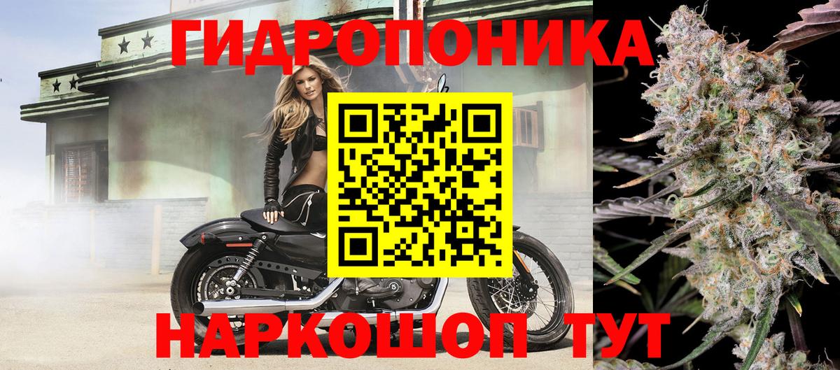 Канабис Ganja  Канабис план  Марихуана план  Братск  Вход с VPN  Каннабис планчик 